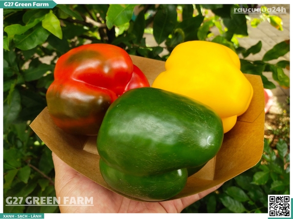 Ớt chuông 3 màu (mix đỏ, vàng, xanh)