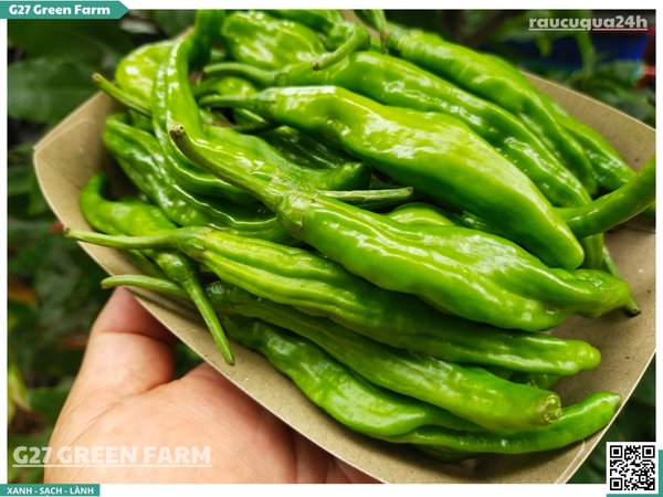 Ớt nhăn Hàn Quốc