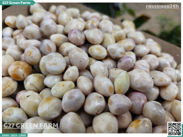 Đậu cúc rằn tươi