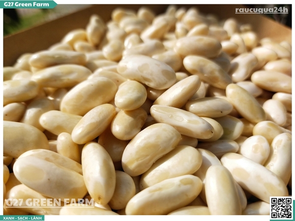 Đậu trắng tươi