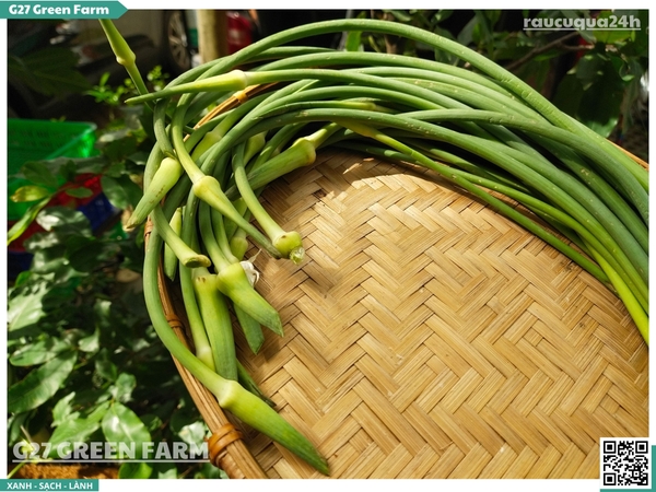 Ngồng tỏi (bông tỏi)