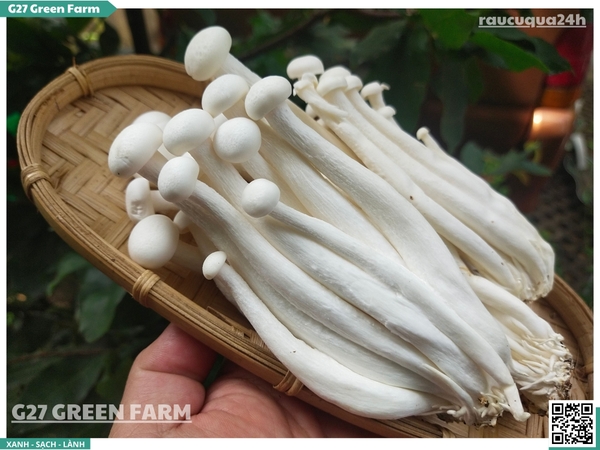 Nấm hải sản (nấm bạch tuyết) 170g