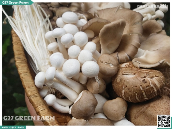 Combo nấm mix (nấm đủ loại)