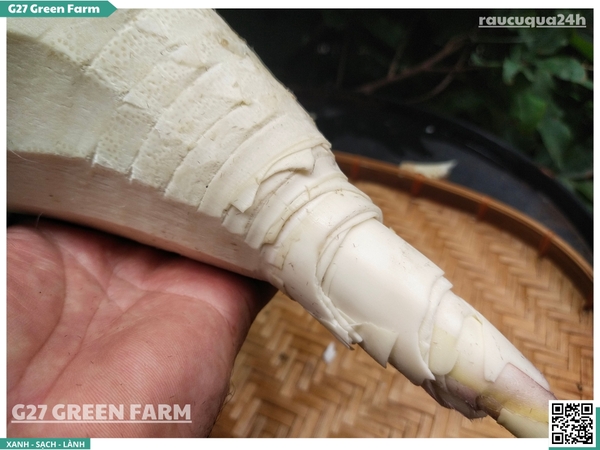 Măng tươi sơ chế