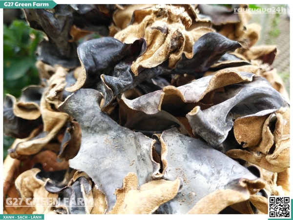 Nấm mèo (mộc nhĩ) khô