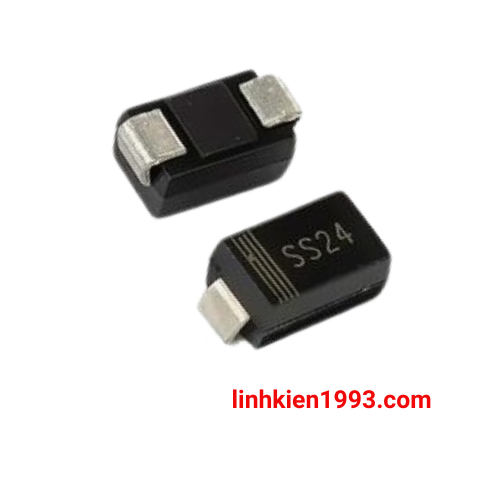 ss24-sma