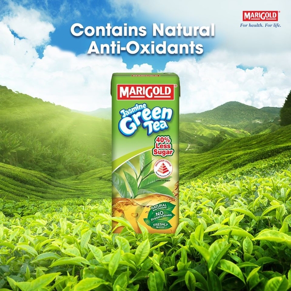 Trà xanh Marigold thùng 24 hộp