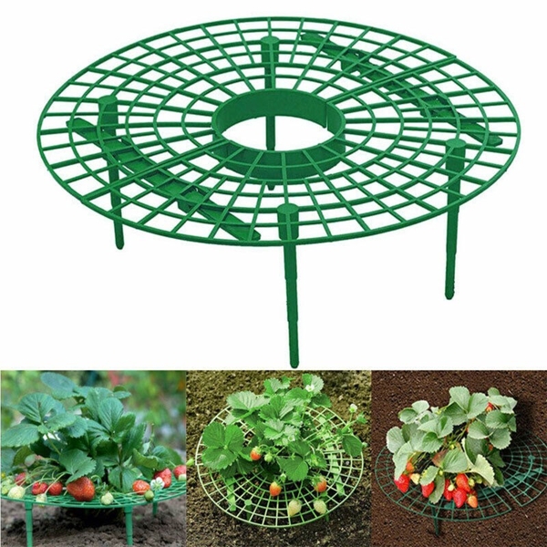 Giá đỡ dâu tây, dưa hấu KT 30x30cm