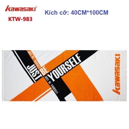 khan-kawasaki-983-cam