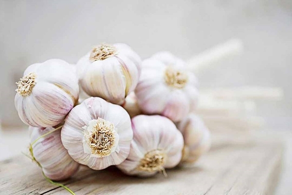 Tỏi Củ - Công ty TNHH TM DV VINFOOD