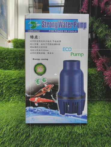 re-vo-dich-may-bom-nuoc-ho-ca-koi-rs-25500-tiet-kiem-dien-sieu-ben-chay-em-on-di