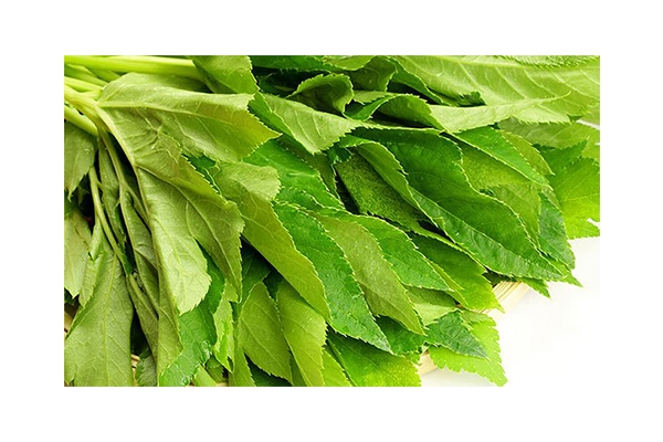 Phát hiện món Rau của các Samurai chứa bí mật Trường Sinh