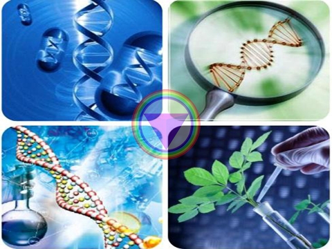 Ứng dụng của Công nghệ sinh học