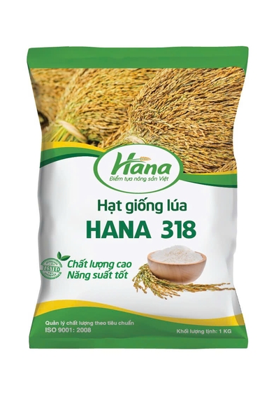 Giống lúa thuần HANA 318