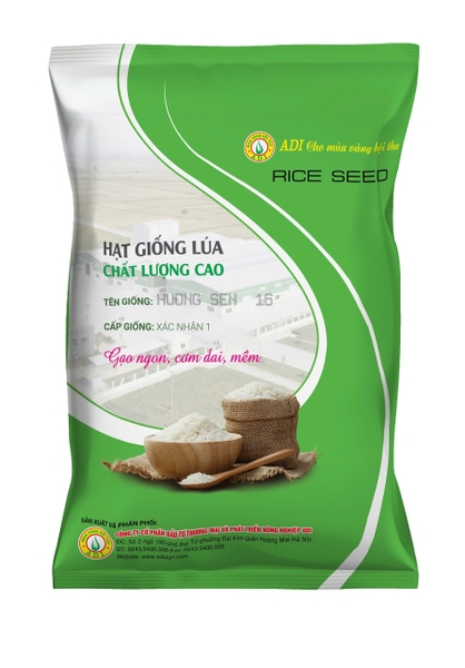 Hạt giống lúa thuần ngắn ngày - chất lượng cao Hương Sen 16