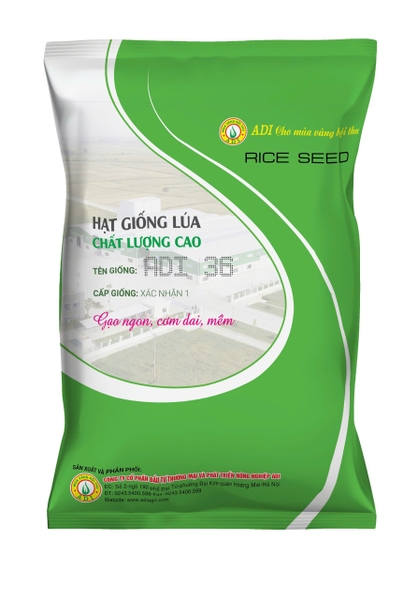 GIỐNG LÚA THUẦN NGẮN NGÀY – NĂNG SUẤT CAO – CHẤT LƯỢNG ADI 36