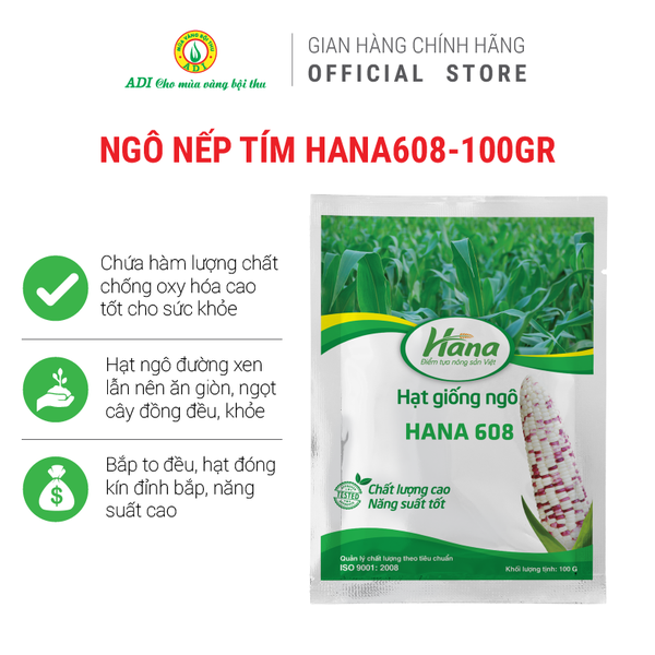 Hạt giống ngô nếp đốm tím lai F1 HANA 608