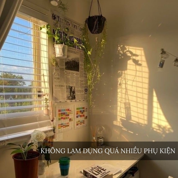 Hình ảnh bài viết