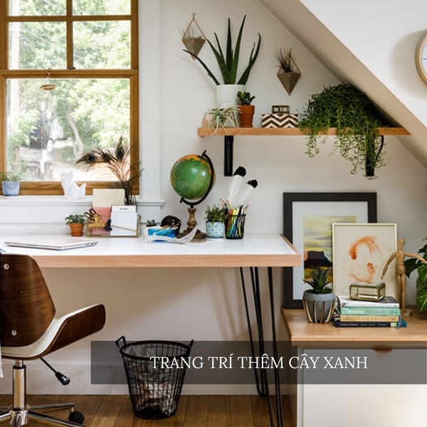 Hình ảnh bài viết