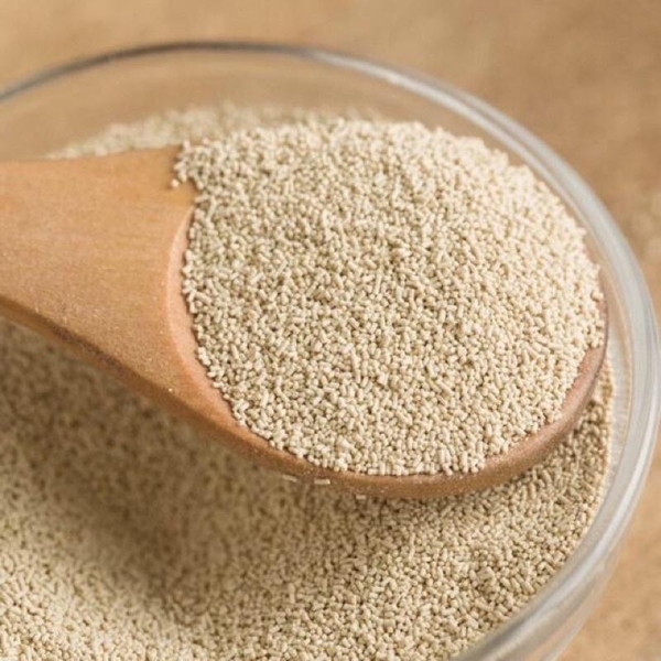 Men Nở Khô Pháp Saf-Instant Hiệu Đầu Bếp Gói 500G (Nhãn Đỏ/ Nhãn Vàng) - Dry Yeast Saf-Instant 500G