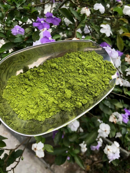 Bột Trà Xanh Matcha EverStyle Red Cape 500g - Matcha Đài Loan 500G EverStyle Red Cape