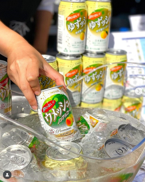 Nước mơ/quýt lên men CHOYA Umeshu Soda 350ml - Yowanai Ume Soda