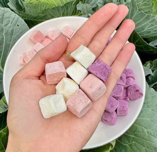 Sữa chua sấy giòn 100g