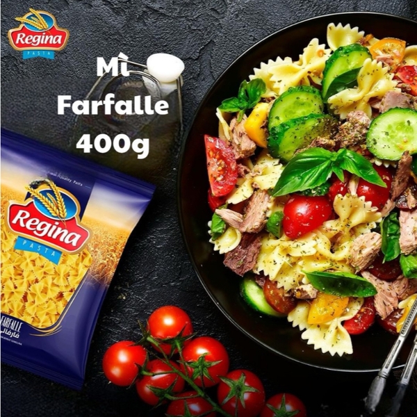 Mỳ nui ống/nơ/xoắn/sò Penne Regina 400g