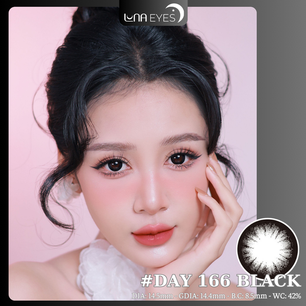[1-DAY] 166 BLACK - Size to
