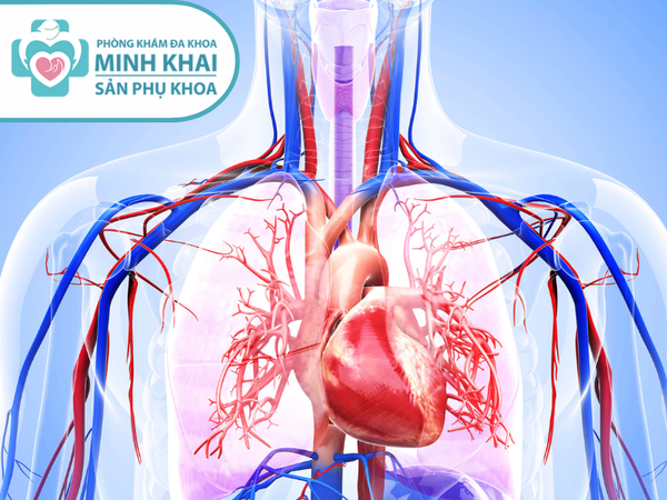 suy tim khi mang thai lần đầu