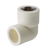 vesbo-cut-ren-trong-ppr