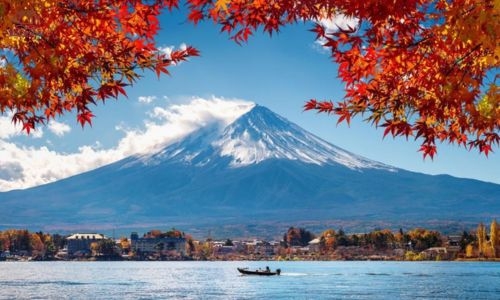 TOUR CUNG ĐƯỜNG VÀNG NHẬT BẢN MÙA HOA SAKURA