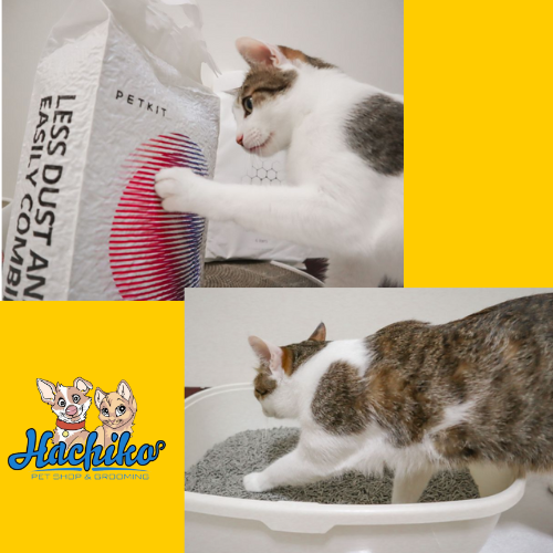 Cát đậu nành Petkit Mixed 5 trong 1/ 7L 3.6kg
