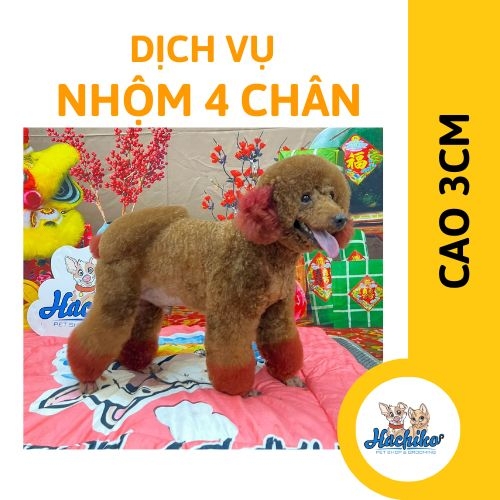 Dịch vụ nhộm 4 chân cao 3cm cho chó mèo