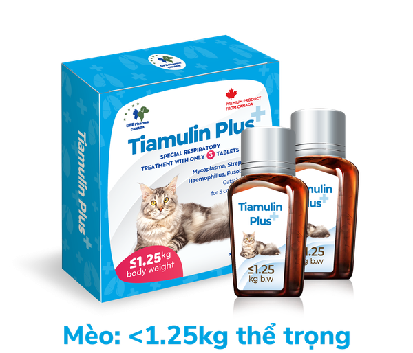 GFB Tiamulin Plus viên uống đặc trị hô hấp mèo (hộp 2 lọ 6 viên)