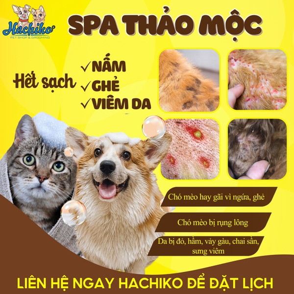 Combo Tắm - Cắt thảo mộc trọn gói cho Mèo