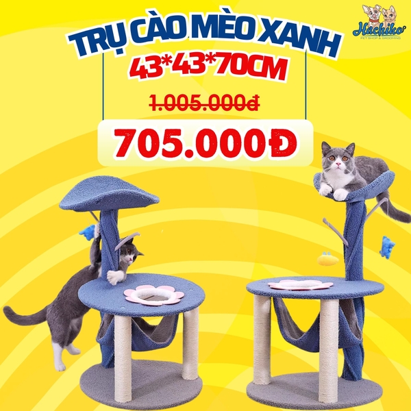 Trụ cào mèo xanh có võng 43*43*70cm