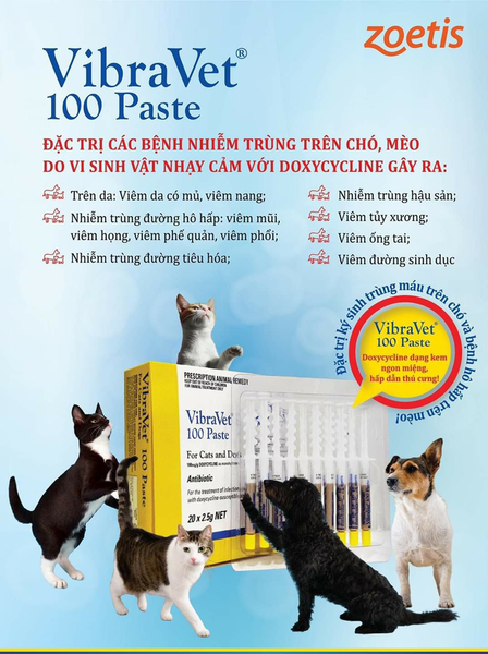 Vibravet 100 Paste trị nhiễm trùng đường tiêu hóa, hô hấp, sinh dục, viêm da, viêm tủy xương, viêm ống tai cho Chó Mèo