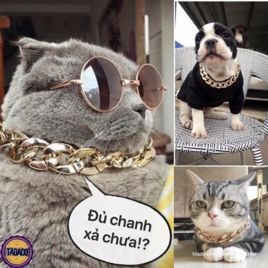DIA VÒNG CỔ VÀNG ĐẠI GIA