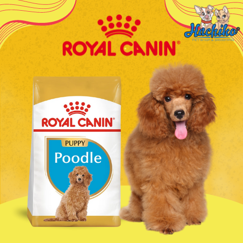 Thức ăn cho chó con Royal Canin Poodle Puppy từ 2-10 tháng tuổi - 500gr/1.5kg