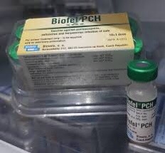 Vaccine mèo 4 bệnh Biofel PCH (Anh) có ngừa dại(hộp 10 liều)