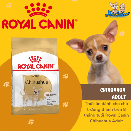 Royal Canin Chihuahua Adult cho chó trưởng thành