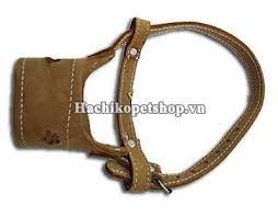 HK KHỚP MỎ DA LỚN