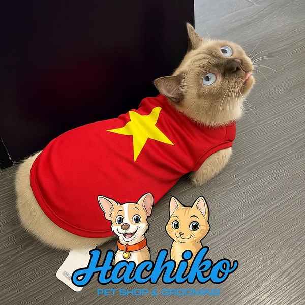 Áo lá cờ Việt Nam