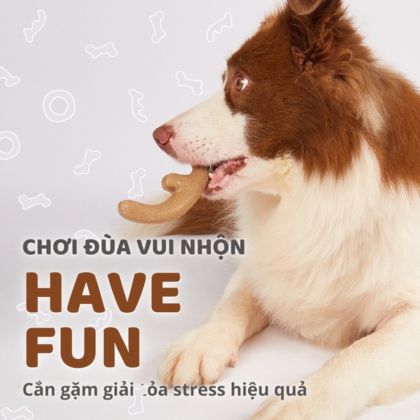 PetQ Đồ chơi gặm sạch răng hình sừng hươu/vòng tròn