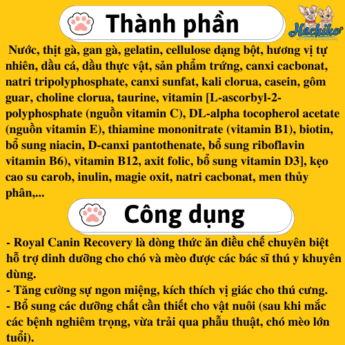 Pate/ Thức ăn ướt dành cho Chó Mèo phục hồi sức khỏe  Royal Canin Recovery lon 195g