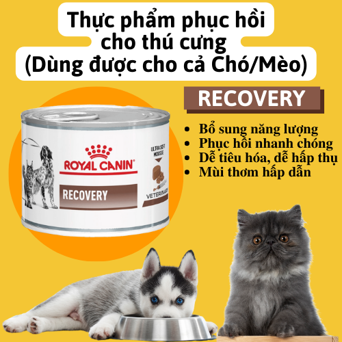 Pate/ Thức ăn ướt dành cho Chó Mèo phục hồi sức khỏe  Royal Canin Recovery lon 195g