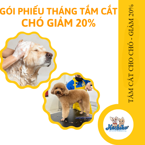 PHIẾU THÁNG Combo trọn gói tắm cắt cho Chó GIẢM 20%