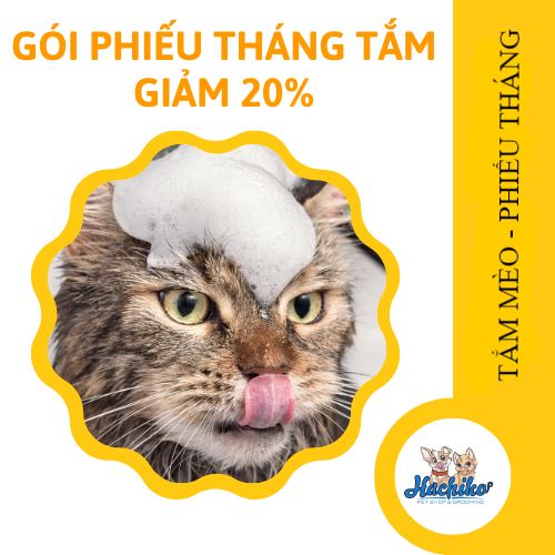Dịch vụ Tắm cho Mèo - Phiếu tháng giảm 20%
