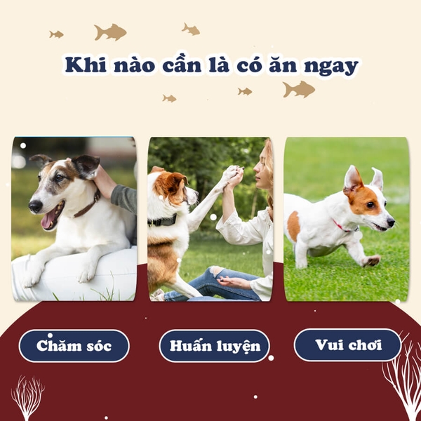 Chip cá ZÒN cho chó DoggyMan -  50gr